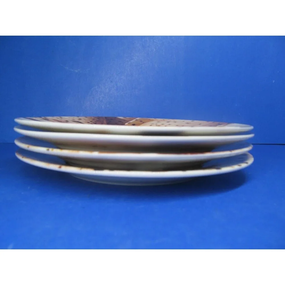 Pier 1 Seashell 8